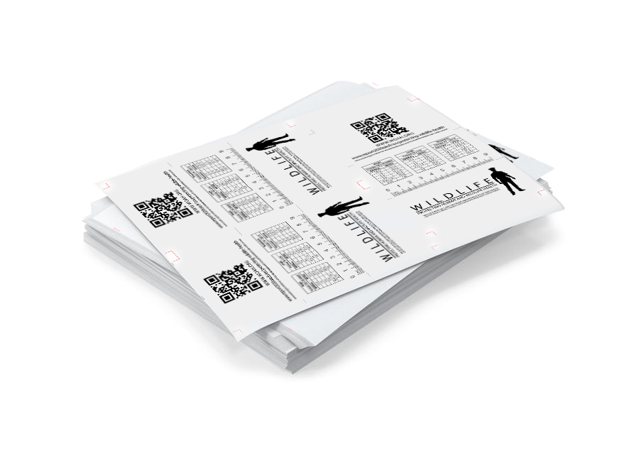 Print multiple cards